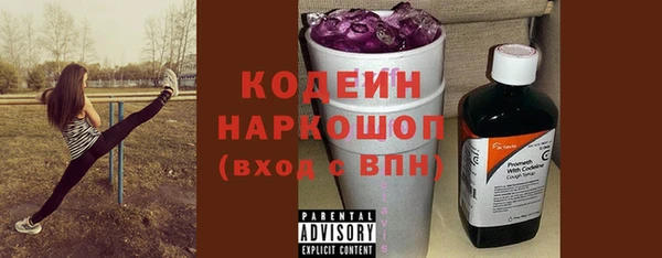 ешки Корсаков