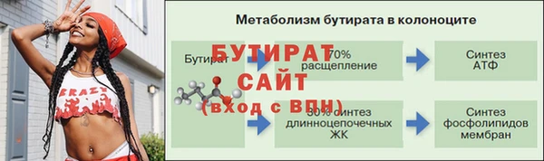 хмурый Ельня