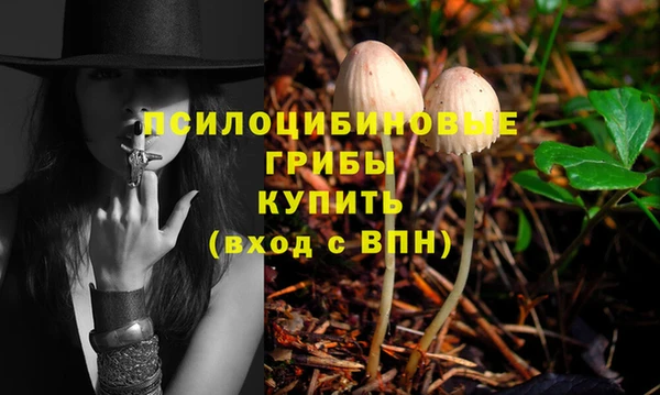 кокс Костерёво