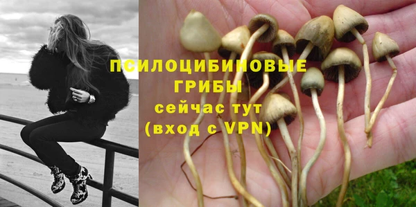 ешки Корсаков