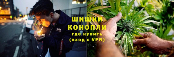 ешки Корсаков