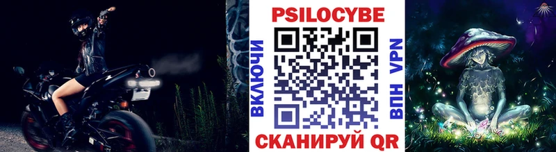 Псилоцибиновые грибы Psilocybe  Благодарный 