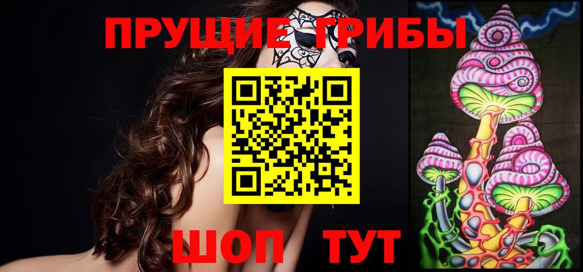 Галлюциногенные грибы Psilocybine cubensis  Вход с VPN  Благодарный  Галлюциногенные грибы Psilocybe 